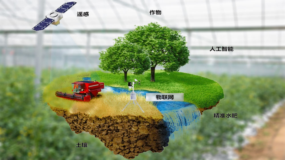 智慧農業